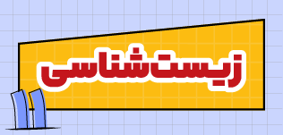 مدرسه و آموزش آنلاین متوسطه دوم تاملند