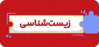 مدرسه و آموزش آنلاین متوسطه دوم تاملند