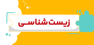 مدرسه و آموزش آنلاین متوسطه دوم تاملند