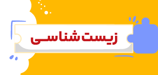مدرسه و آموزش آنلاین متوسطه دوم تاملند